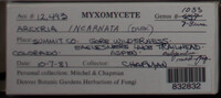 Image Associated With the Occurence